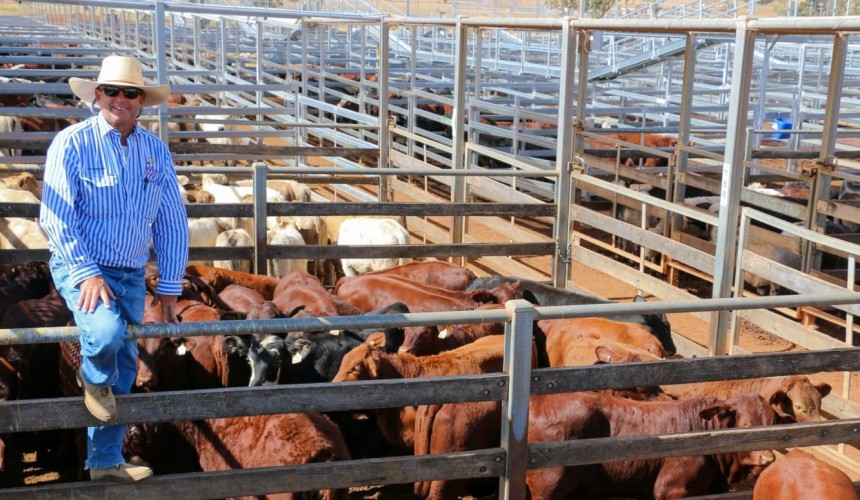 Roma store sale 13 May 2020: Prices lift across most categories