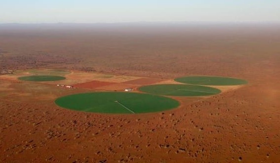 New drought grants to boost on-farm resilience