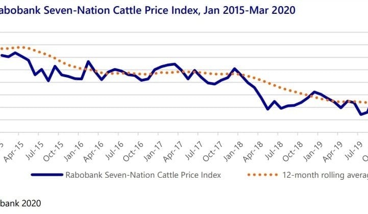 Global beef production outlook revised downwards
