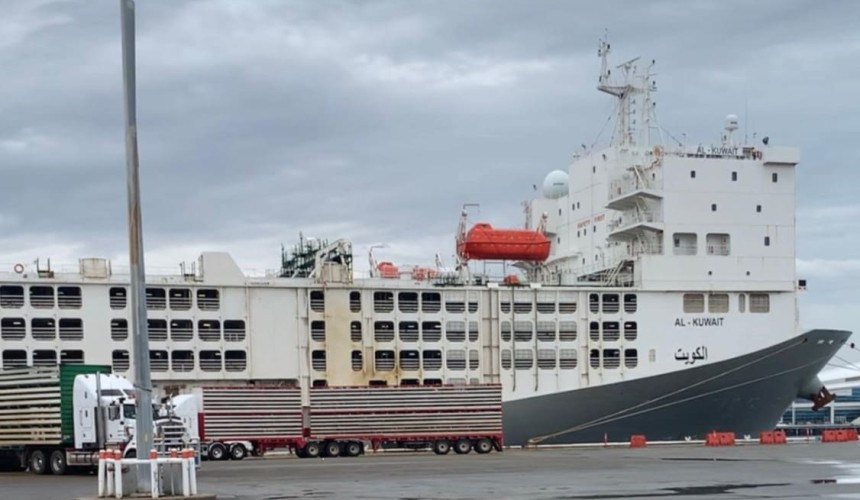 Six crew members on livex vessel test positive to COVID-19