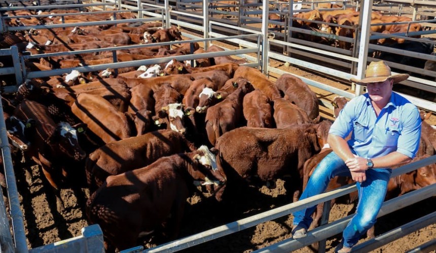 Roma store sale 26 May 2020:  Southern demand adds to competition