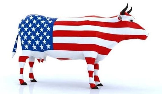 US cattle numbers fall to third lowest on record, in aftermath of drought