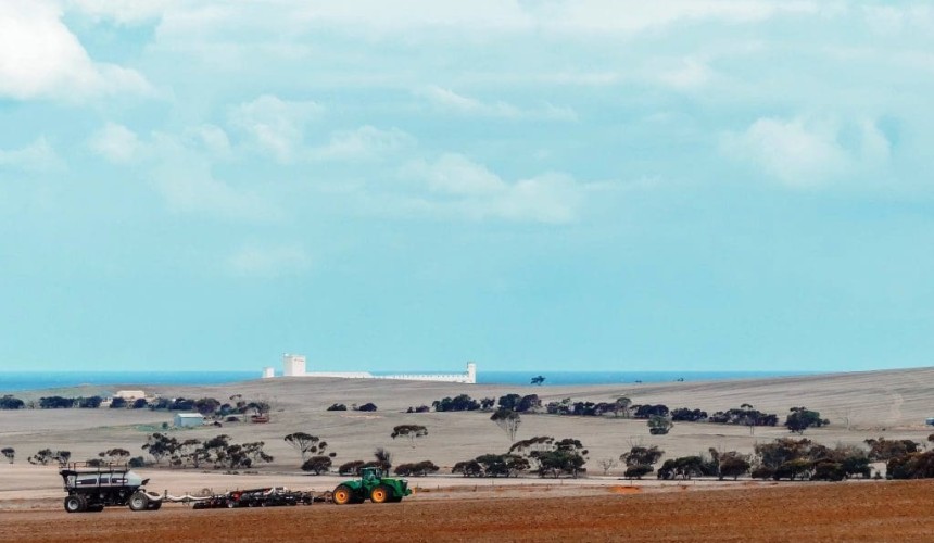 Feedgrain Focus: Prices ease as north’s demand wanes