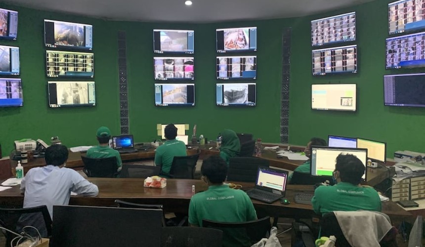 The unseen teams keeping cattle exports moving through COVID-19