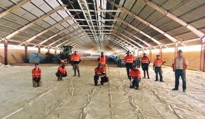 Feedgrain Focus: Prices drop sharply in limited trade