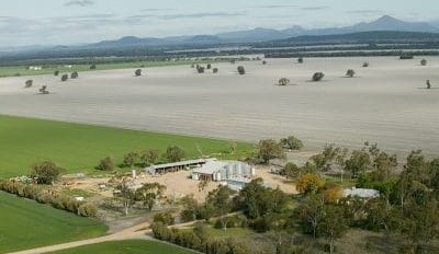 Rain prompts action in northern NSW property market