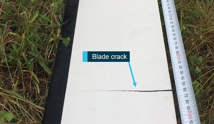 Vibration signalled rotor blade crack for cattle mustering pilot
