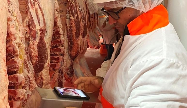 Smart-phone based carcase grading camera shows big potential