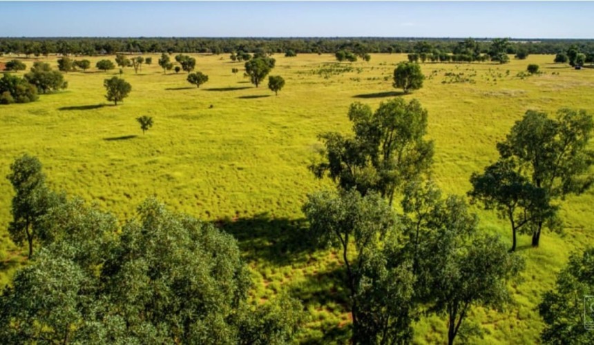 Property: Mixed results for southern Qld online auctions + VIDEO