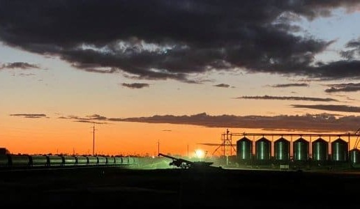 Feedgrain Focus: Shorts lift north in nearby, south softens