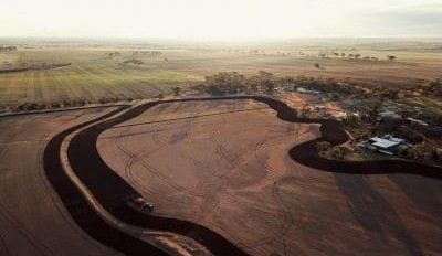 Feedgrain Focus: Stronger Aussie dollar pressures prices