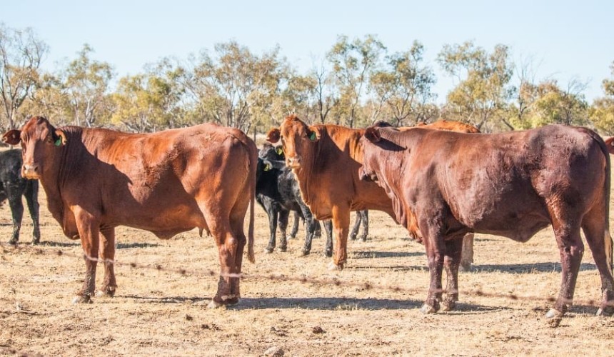 Winton’s Baratria listed at circa $28m, after EOI campaign fails to find a buyer