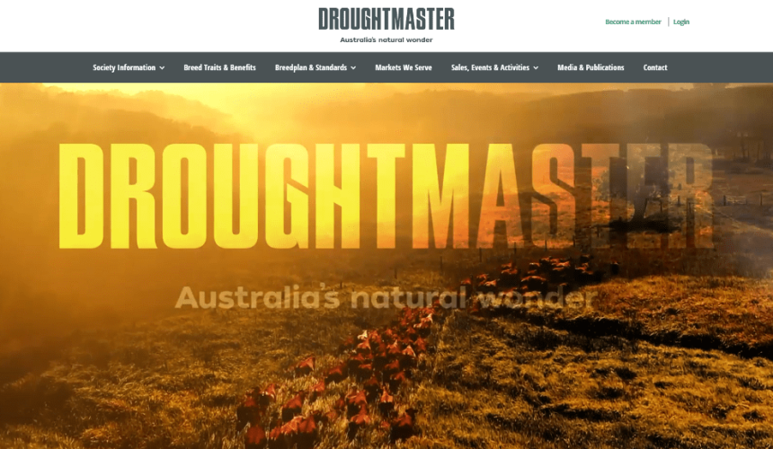 New-look logo, website for Droughtmaster breed