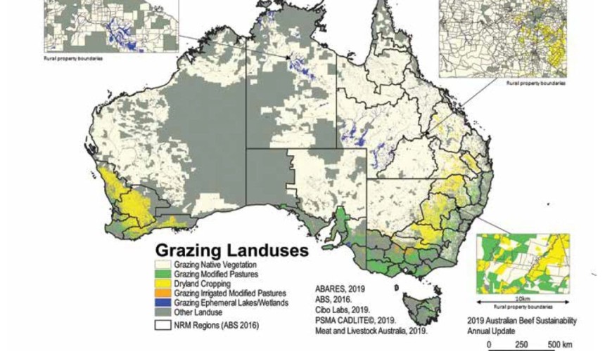 ‘Deforestation’ in focus as 2020 deadlines near