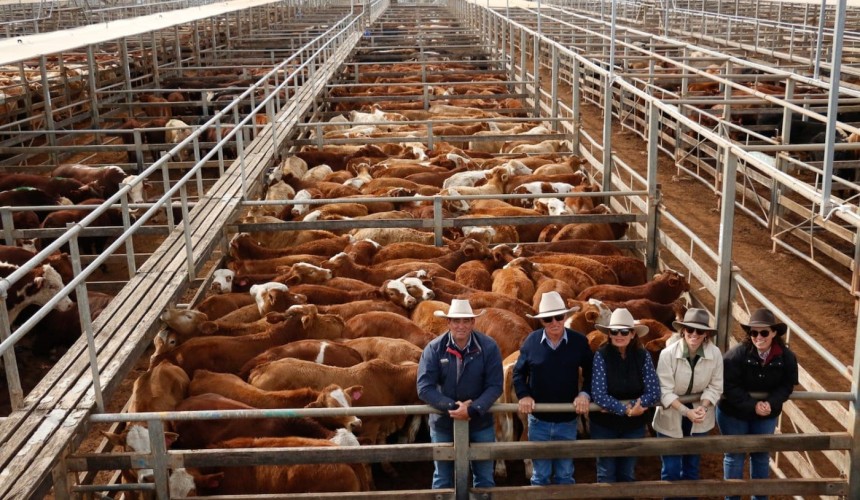 Roma store sale 21 July 2020: Demand strong for quality EU lines