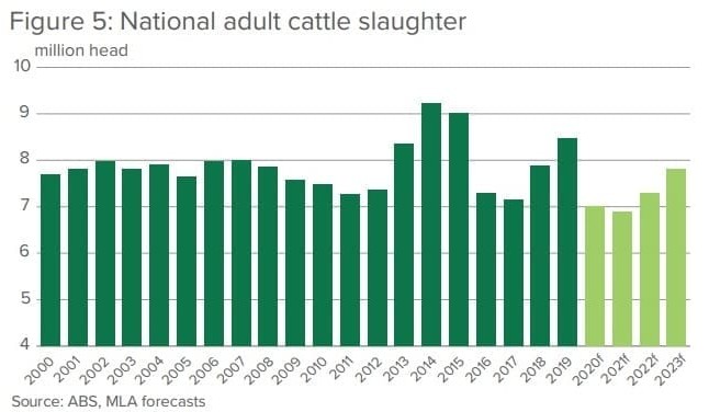 Cattle turnoff forecast to fall, but herd rebuild slow to gather pace
