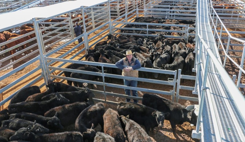 Roma store sale 7 July 2020: Quality EU steers meet strong competition
