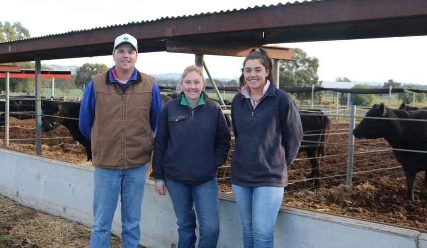 Getting more value out of cull cows