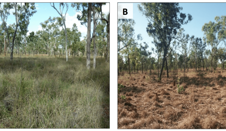 How does land condition affect property values?