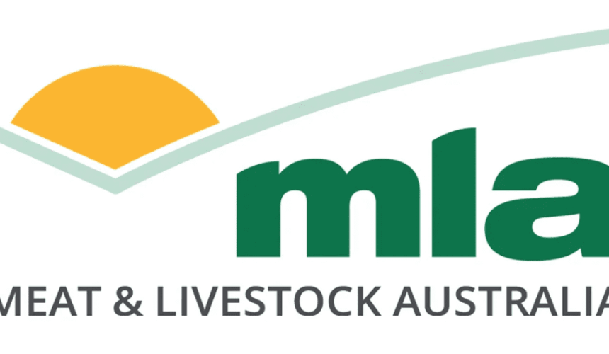 MLA seeks applications for three director positions