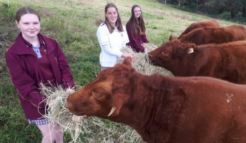 Recruitment: NSW students win national pitch competition with ag career app idea