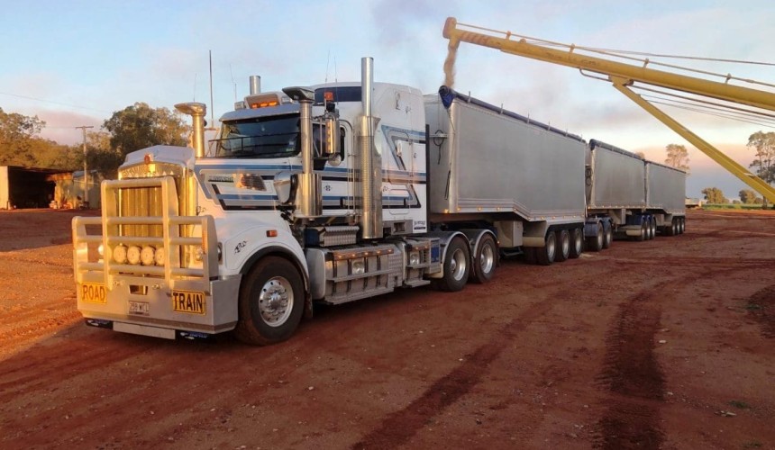 Feedgrain Focus: Dwindling stocks in south lift prices
