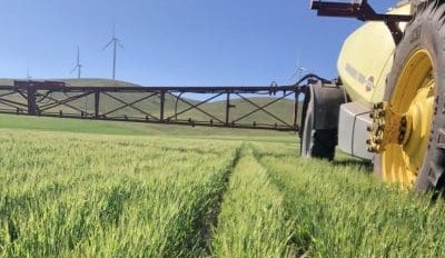 Feedgrain Focus: Values steady as southern inverses shrink