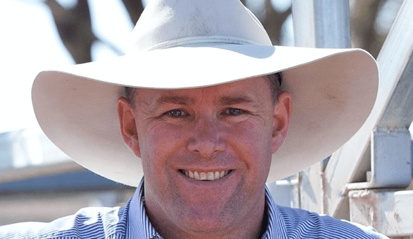 Weekly genetics review: A confident outlook for the autumn bull season