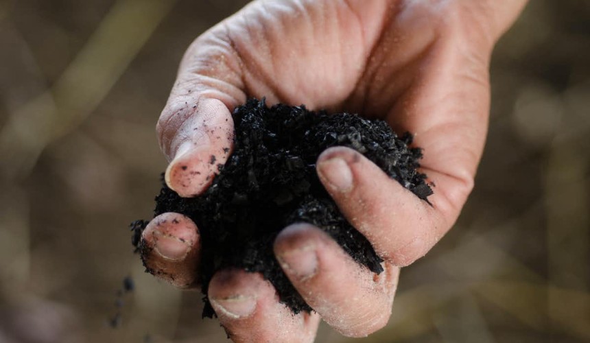 More feed additives show promise in reducing livestock methane
