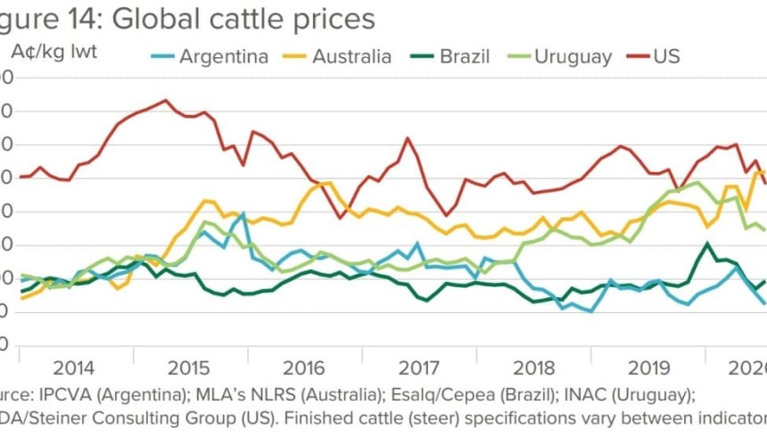 Australian cattle now officially the most expensive in the world