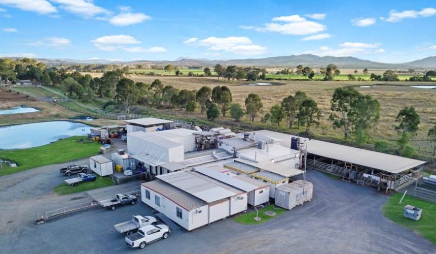 Solid early interest in small southern Qld abattoir