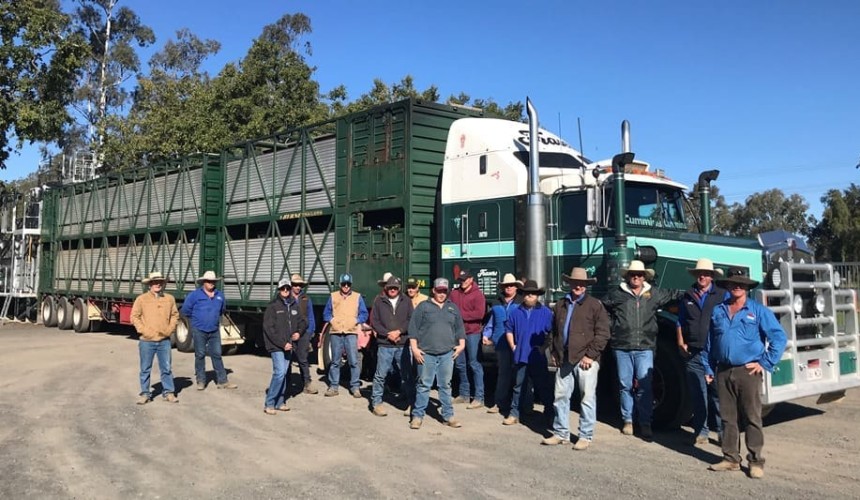 Livestock transport drivers up-skill on animal welfare
