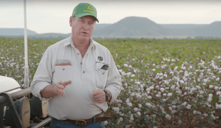 ‘Lint for socks and jocks, cotton seed for cattle’: Northern cotton push grows