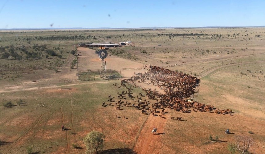 Opinion: It’s time to grow WA’s North