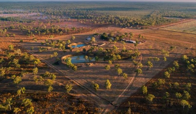 Carbon briefs: a quick look at this month’s carbon news