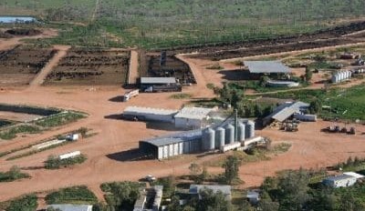 Property: Feedlot asset demand subdued in drought recovery period
