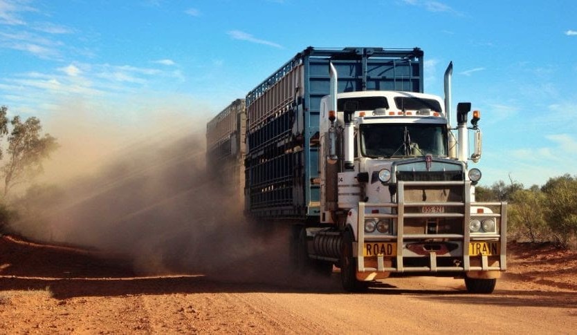 AXIchain launches livestock movement app for transporters