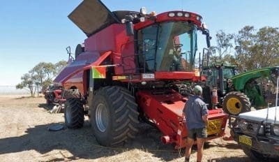 Parthenium alert for harvest machinery crossing Qld-NSW border