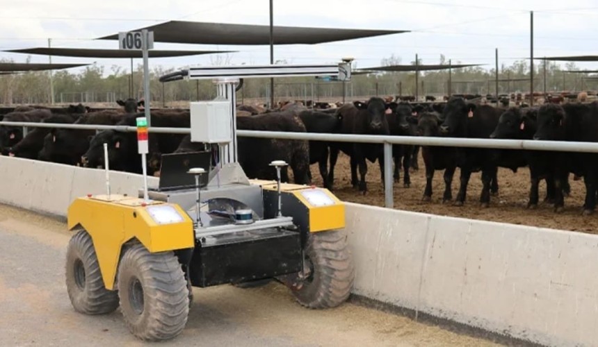 Robotic feedlot bunk scanner set to be demonstrated