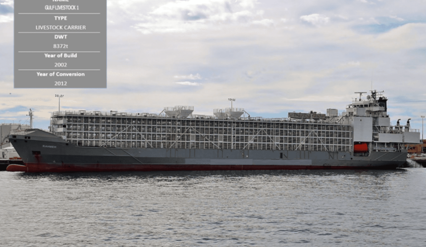 Search for Gulf Livestock 1 crew remains suspended amid second storm