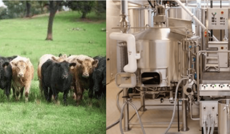 Farms of the future: Why cattle are better than tanks
