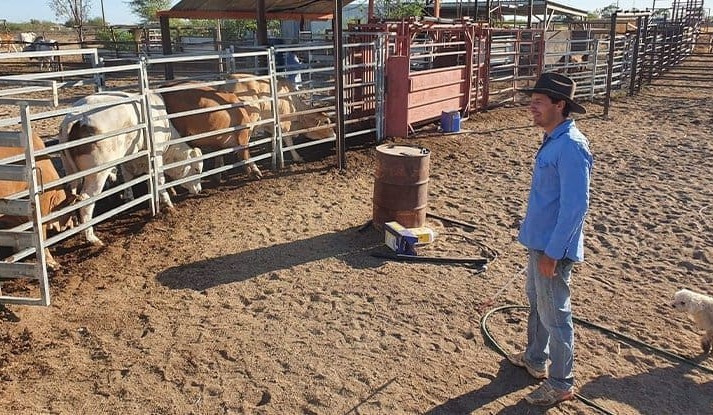 Five tips to prepare for the wet season