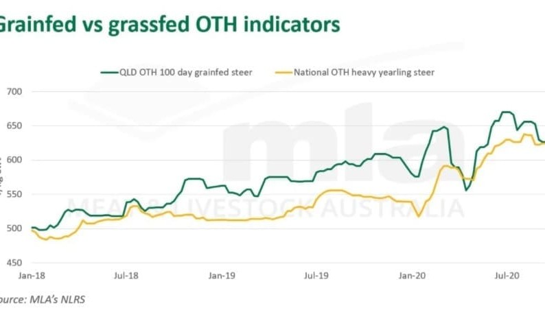 Grainfed cattle premium declines to near zero