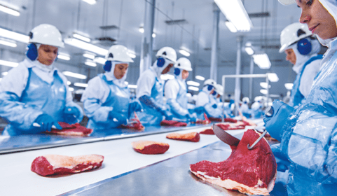 Minerva deal with SALIC steps closer to Australian processing investment