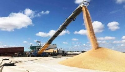 Feedgrain Focus: Wheat mostly higher on northern dry
