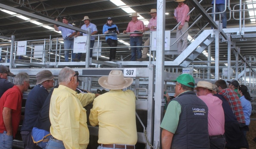 ‘Dearest sale ever’ for Ballarat + VIDEO