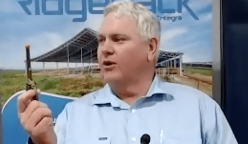 Four cattle leaders tackle three key questions: AgForce Webinar