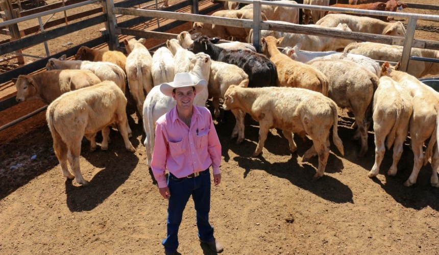 Roma store 6 Oct 2020: New steer price record