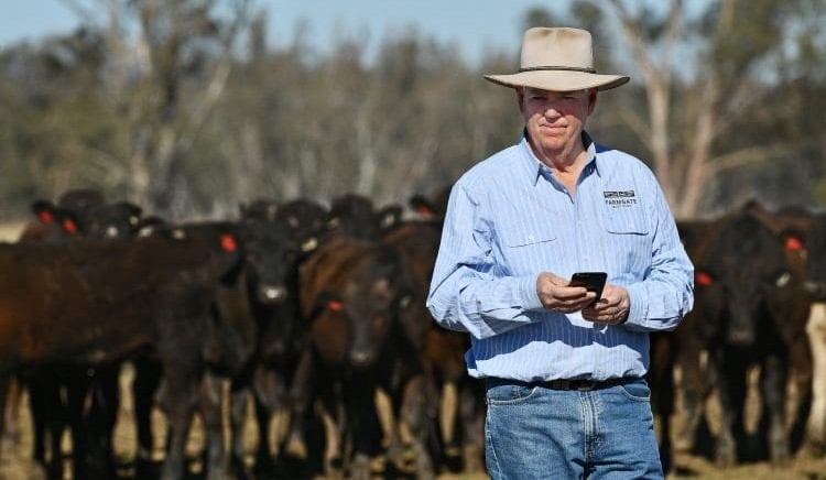 Weekly genetics review: Effectively using online marketing for bull sales