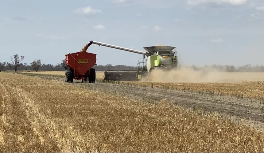 Feedgrain Focus: Markets lift as rain clouds harvest